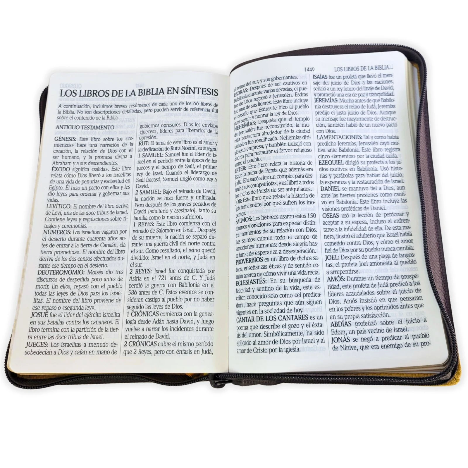 Biblia León Letra Grande con Cierre y Concordancia Amplia RV1960, Manual Imit. Piel, Dorado con Indice - Imagen 2