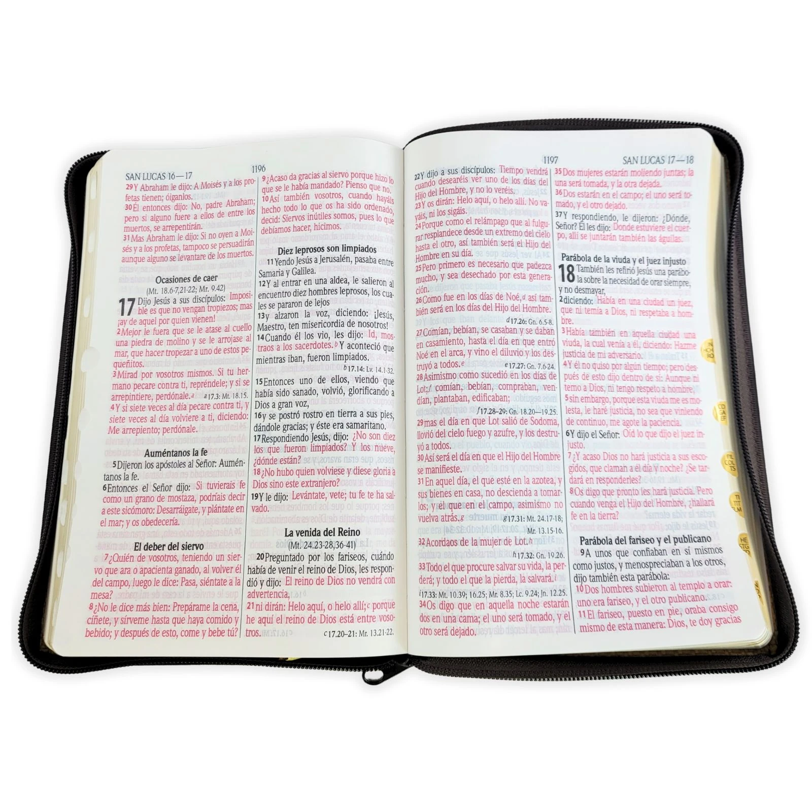 Biblia León Letra Grande con Cierre y Concordancia Amplia RV1960, Manual Imit. Piel, Dorado con Indice - Imagen 4