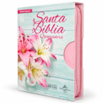 Biblia Quinceañera con Cierre RV1960, imit. piel, rosado con índice
