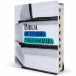 Biblia De Estudio Esquematizada Reina Valera, Imitación Piel, Canto Plateado