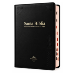 Biblia Letra Gigante 14 Puntos RV 1960 Vinil Negro, Canto Dorado, Indice