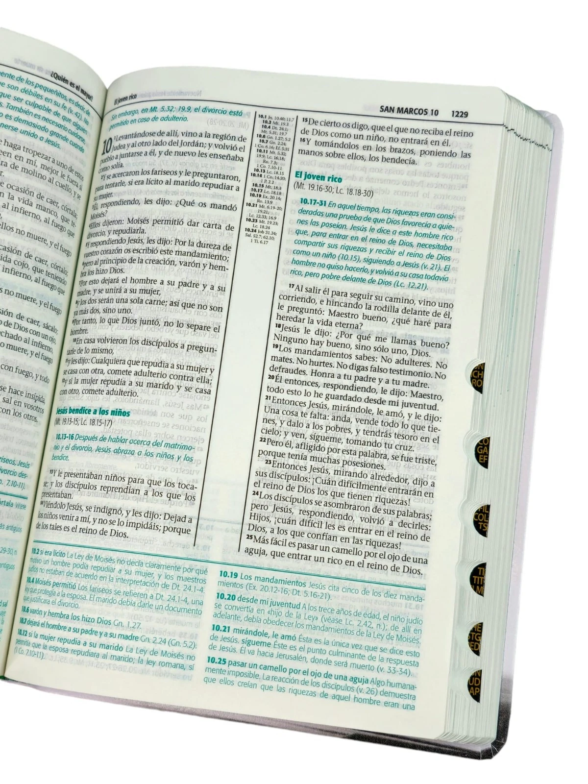 Biblia De Estudio Esquematizada Reina Valera, Imitación Piel, Canto Plateado - Imagen 3