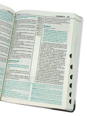 Biblia De Estudio Esquematizada Reina Valera, Imitación Piel, Canto Plateado - Imagen 2