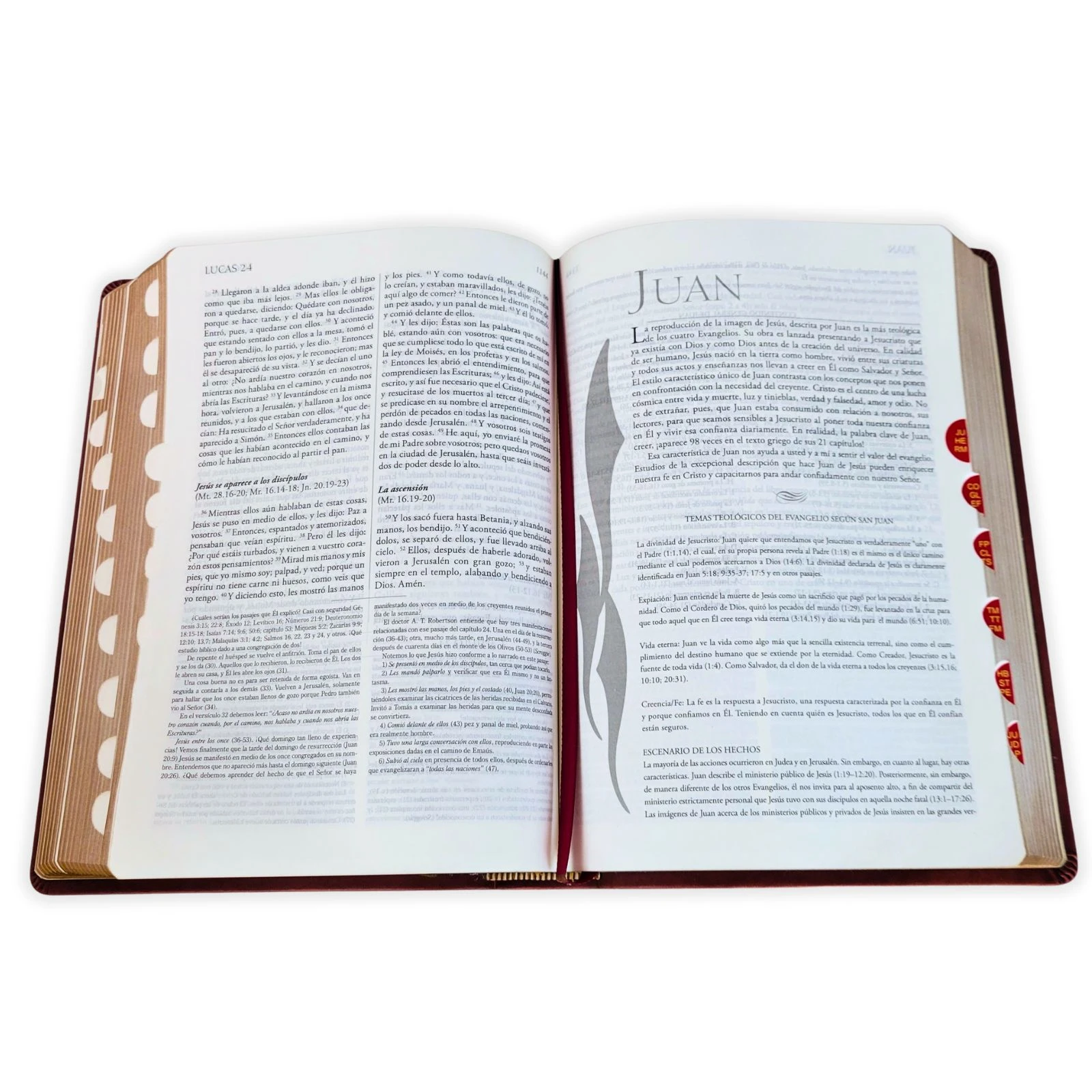 Biblia de Estudio Explicada con Concordancia RV1960, imit. piel, café con índice - Imagen 3
