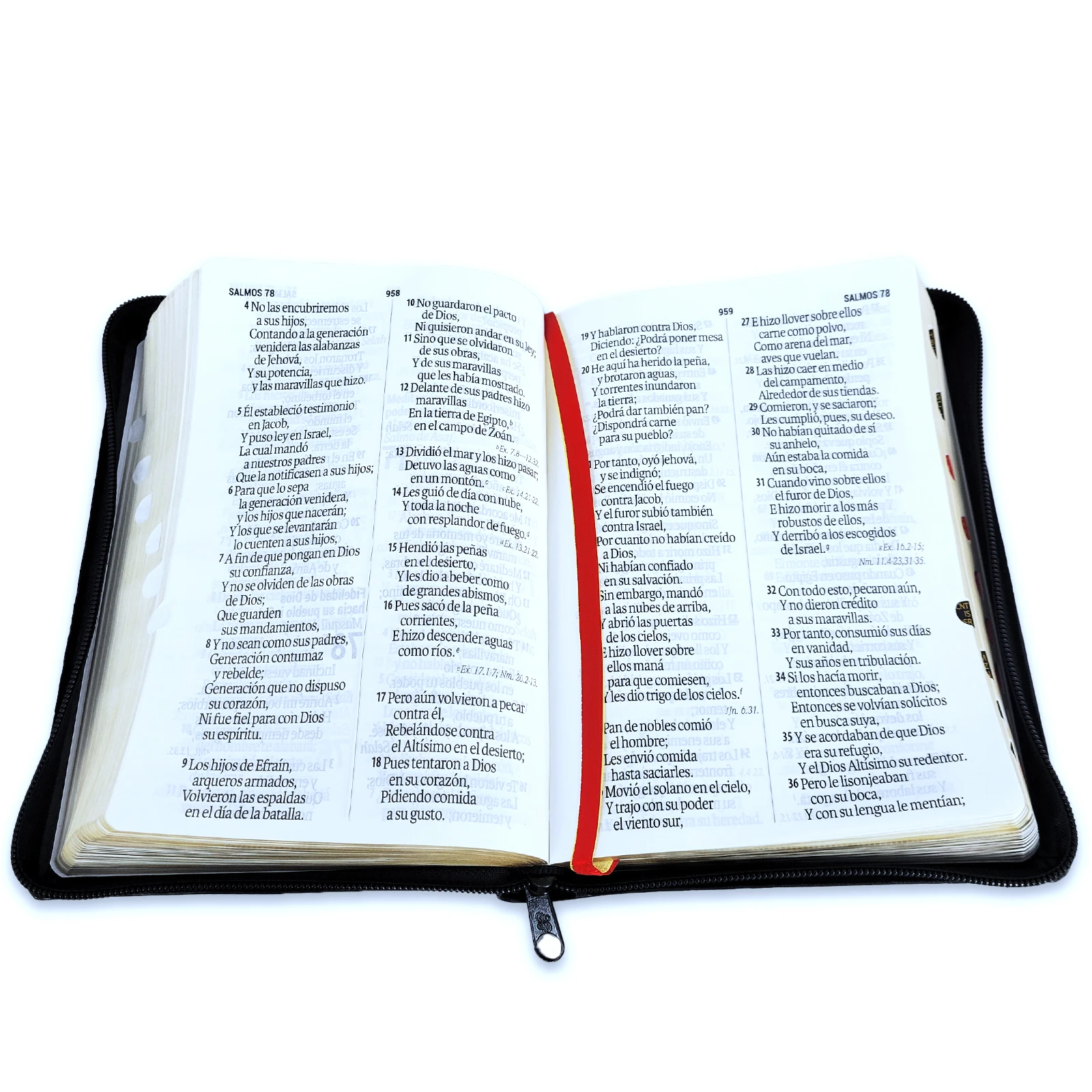 Biblia Letra Gigante 14 Puntos Reina Valera 1960 Imitación Piel Negro con Cierre e Indice - Imagen 2