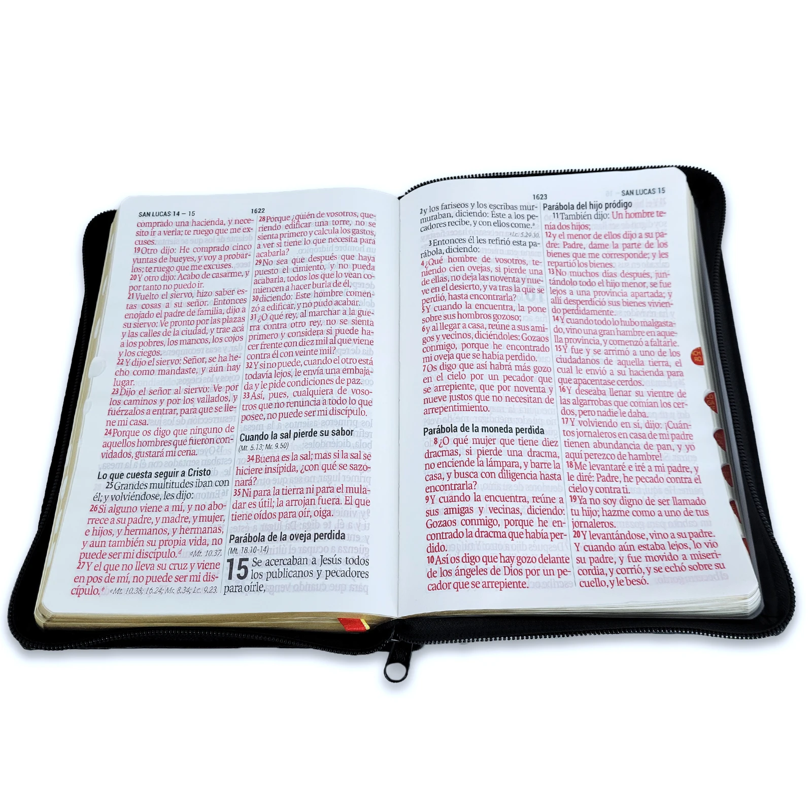 Biblia Letra Gigante 14 Puntos Reina Valera 1960 Imitación Piel Negro con Cierre e Indice - Imagen 3