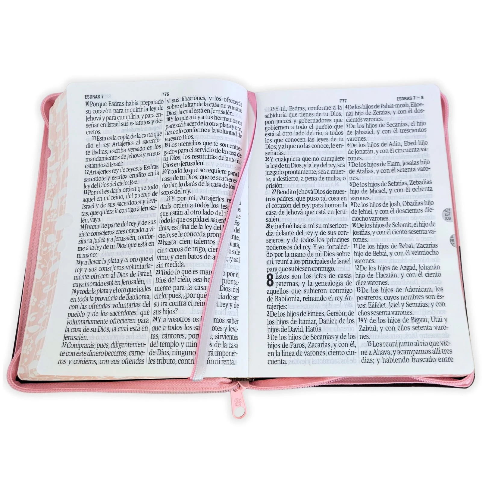 Biblia Compacta Letra 11 Puntos Reina Valera 1960 , Imi Piel Rosa Cafe con Indice, Cierre - Imagen 2