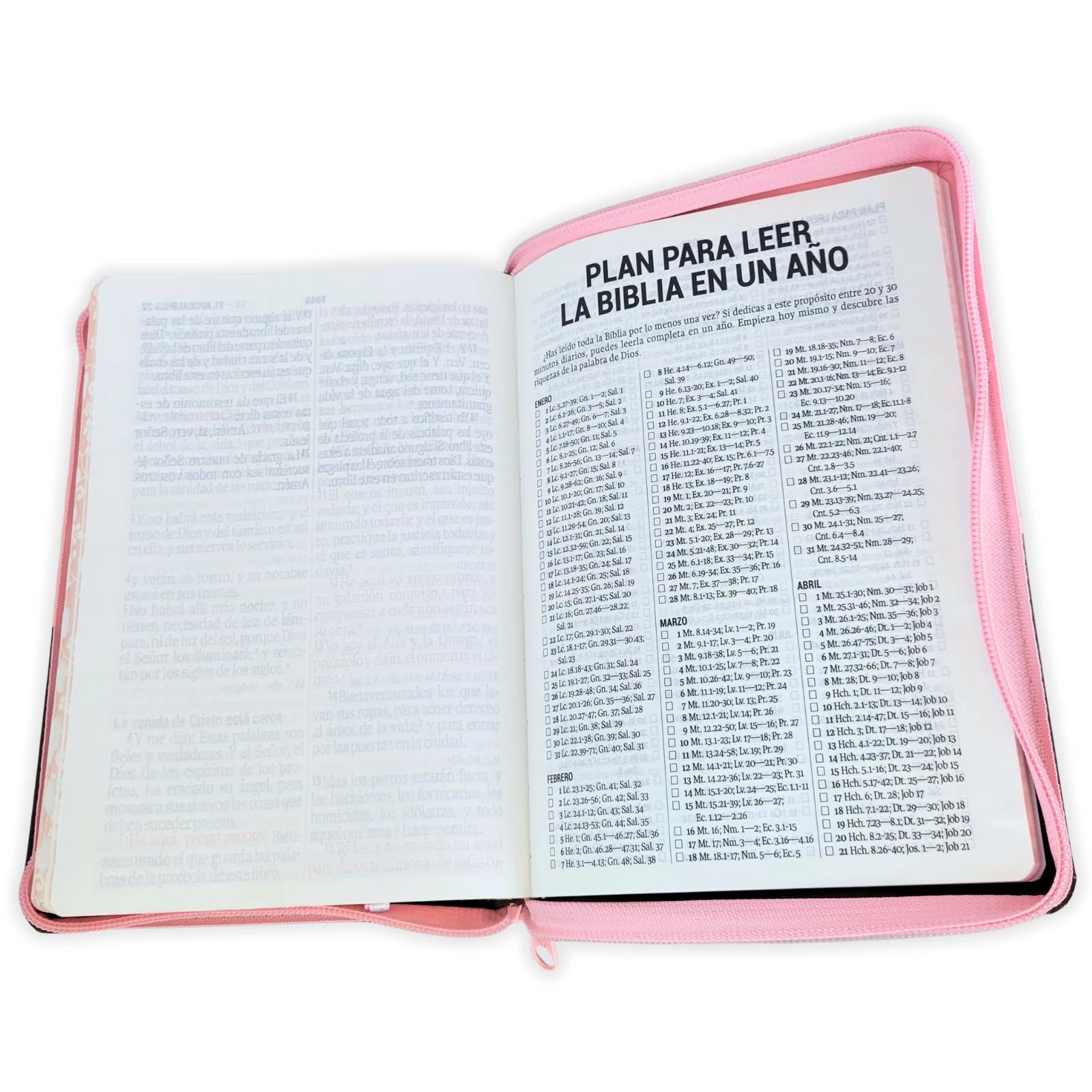 Biblia Compacta Letra 11 Puntos Reina Valera 1960 , Imi Piel Rosa Cafe con Indice, Cierre - Imagen 4