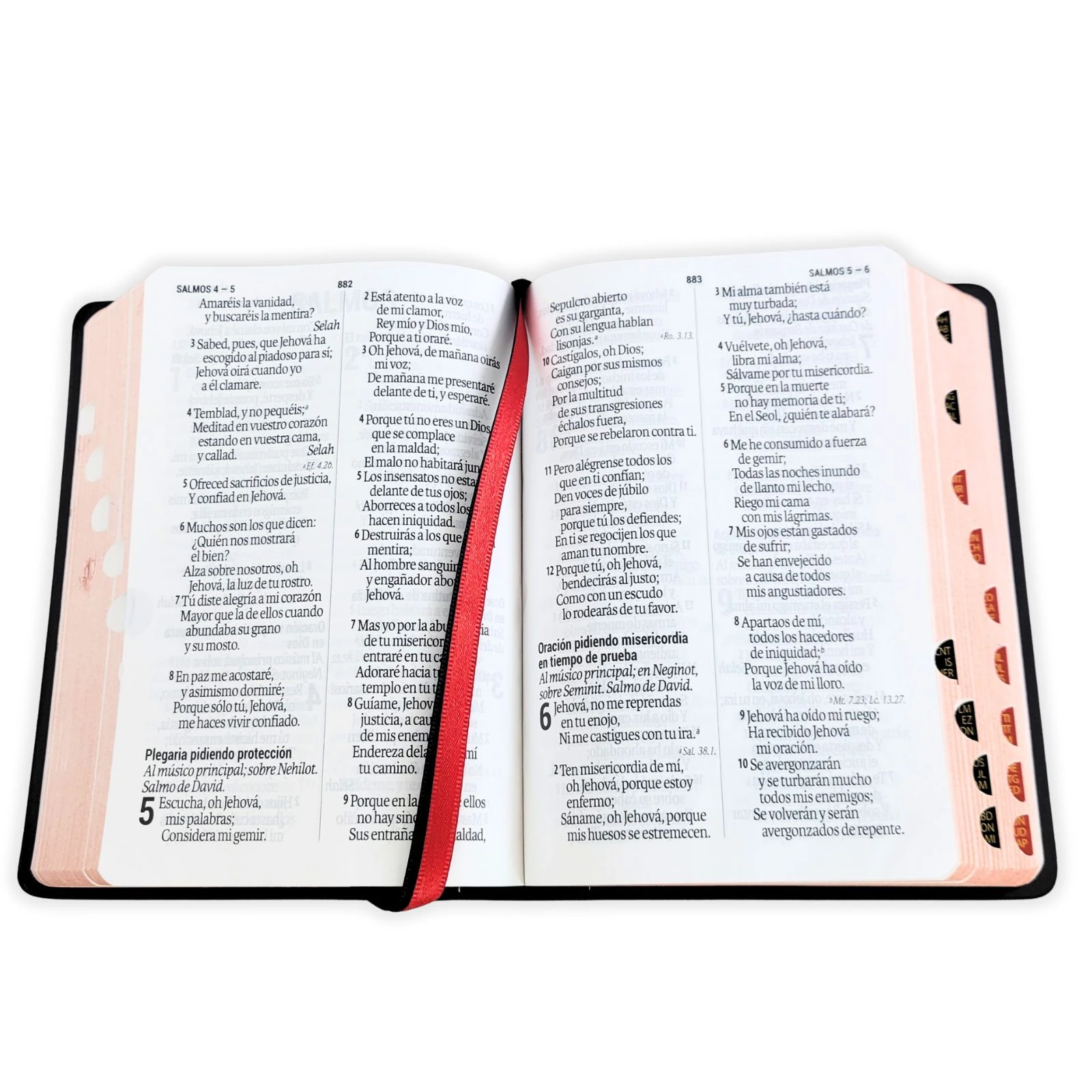 Biblia Compacta 11 puntos RV1960, Vinilo Negro con Indice - Imagen 2