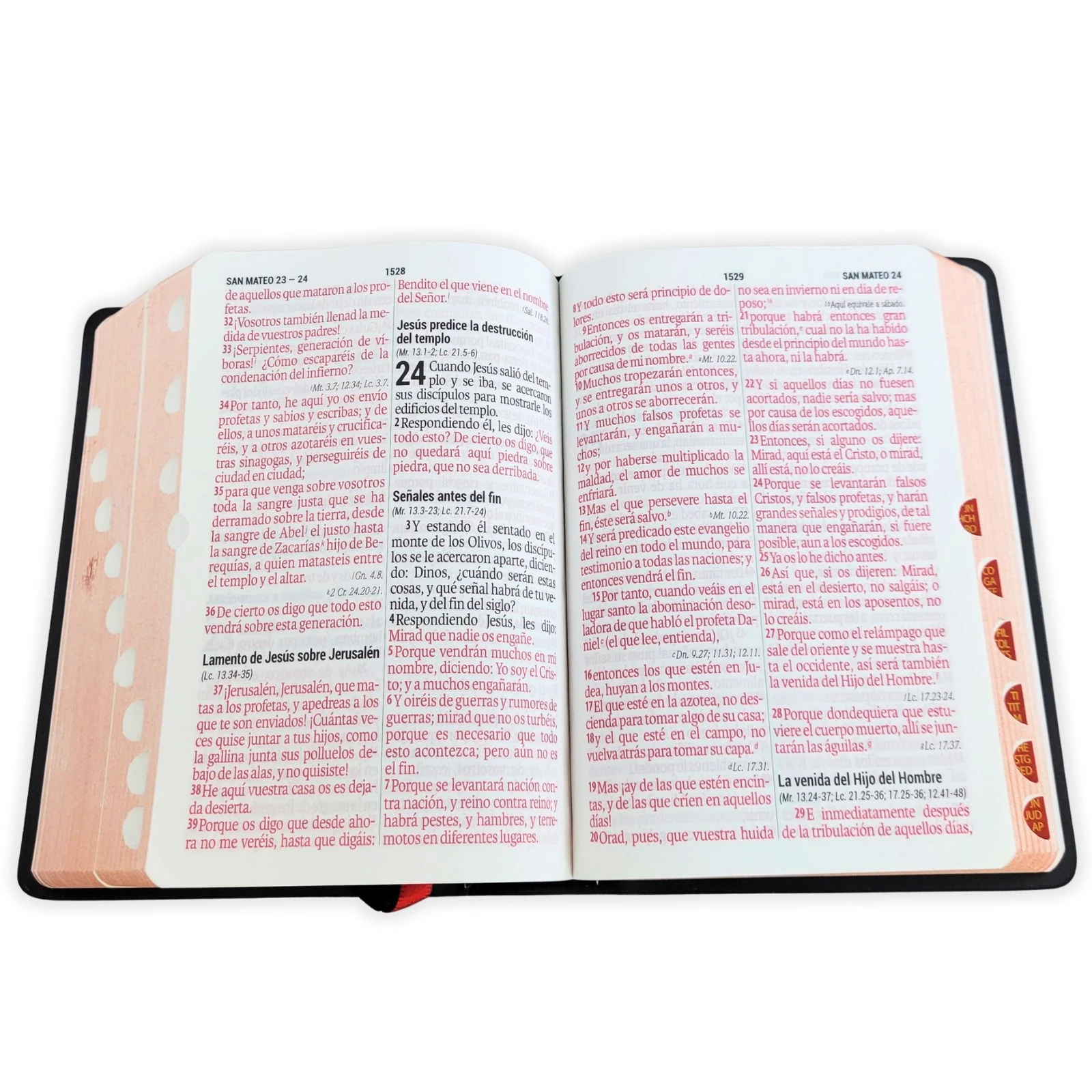 Biblia Compacta 11 puntos RV1960, Vinilo Negro con Indice - Imagen 3