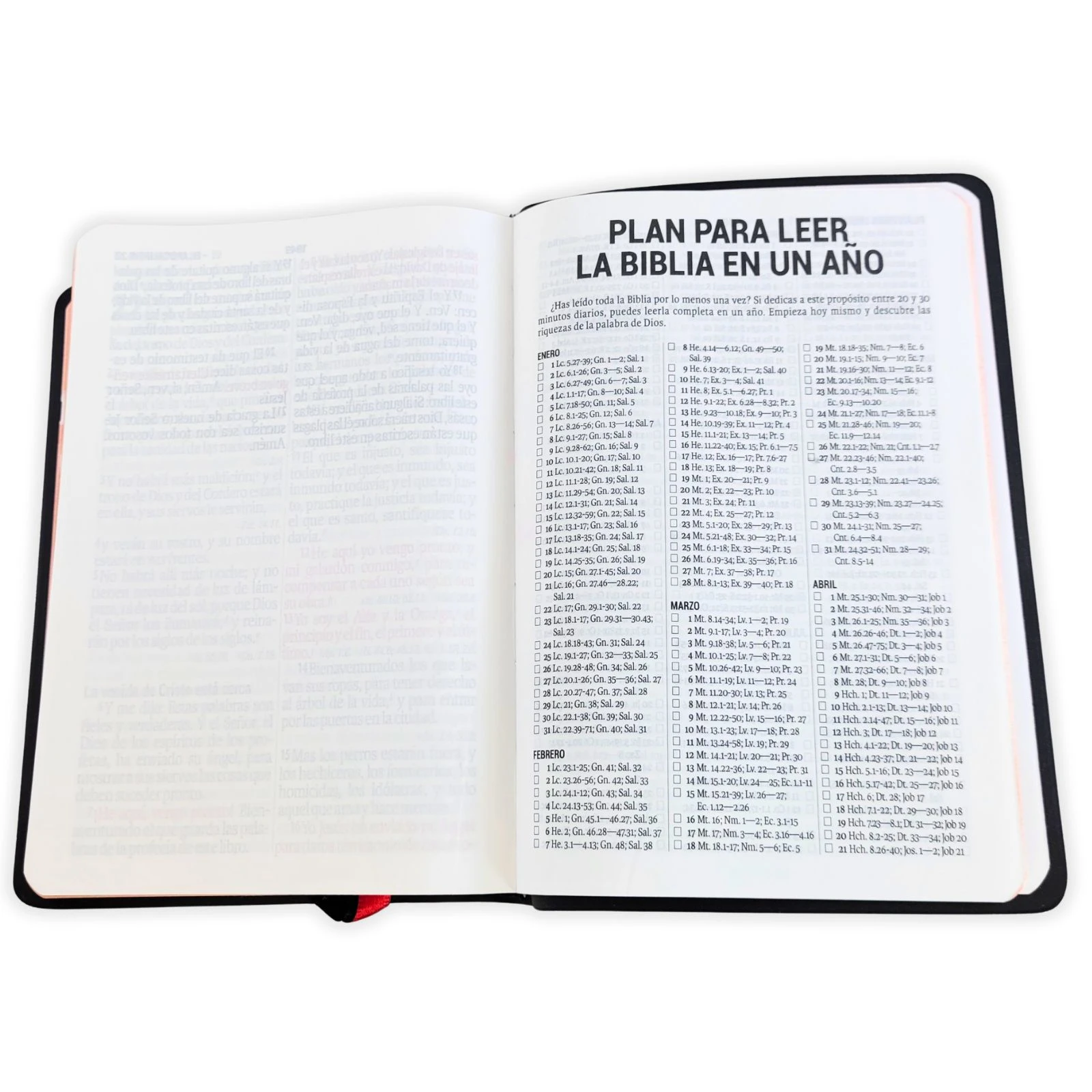 Biblia Compacta 11 puntos RV1960, Vinilo Negro con Indice - Imagen 4