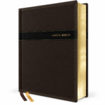 NVI Santa Biblia Ultrafina, Letra Gigante, Imitación Piel Negro