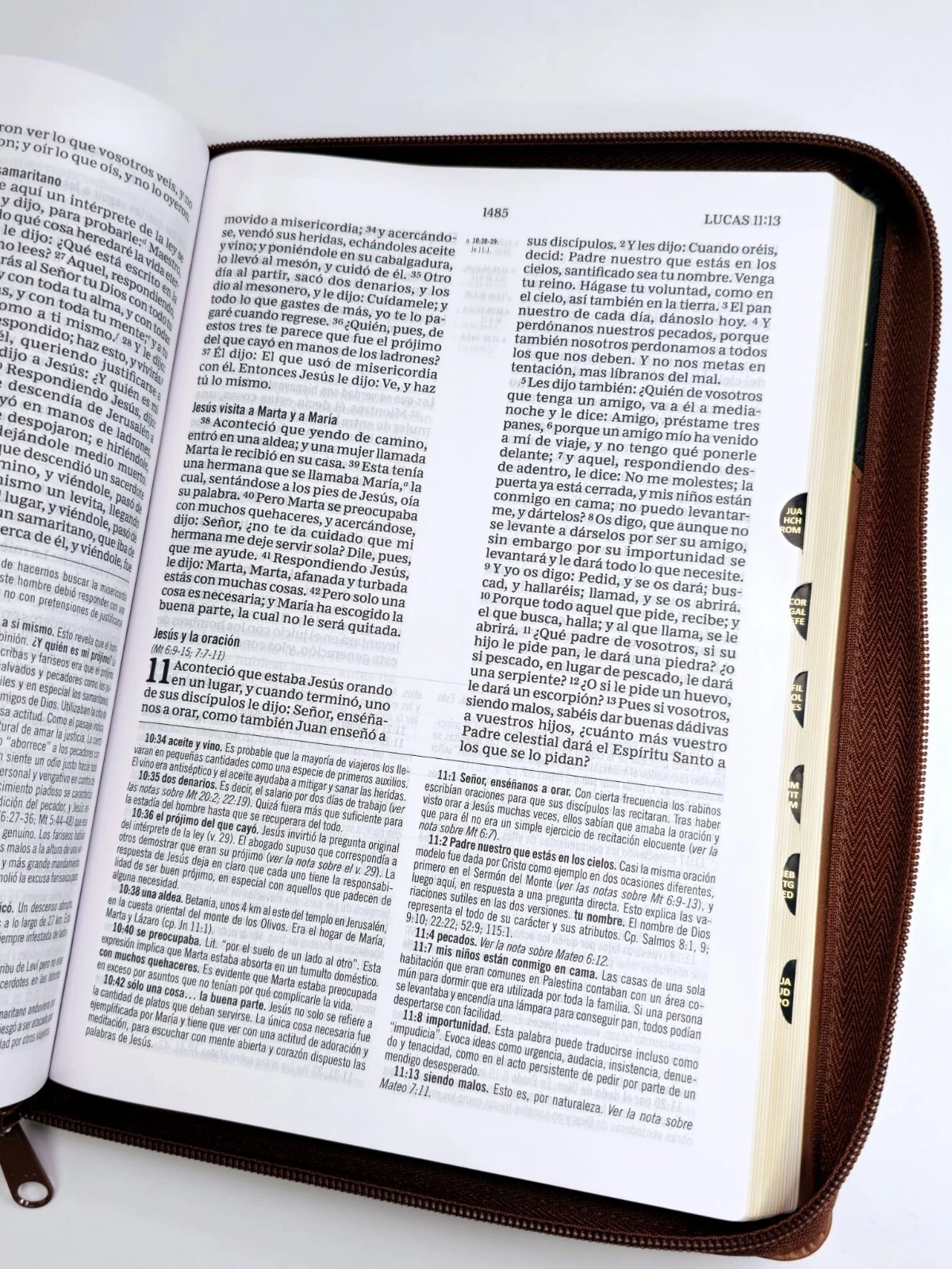 RVR60, Biblia De Estudio MacArthur, Letra Grande, Imitación Piel Café, Con Índice Y Cierre - Imagen 3