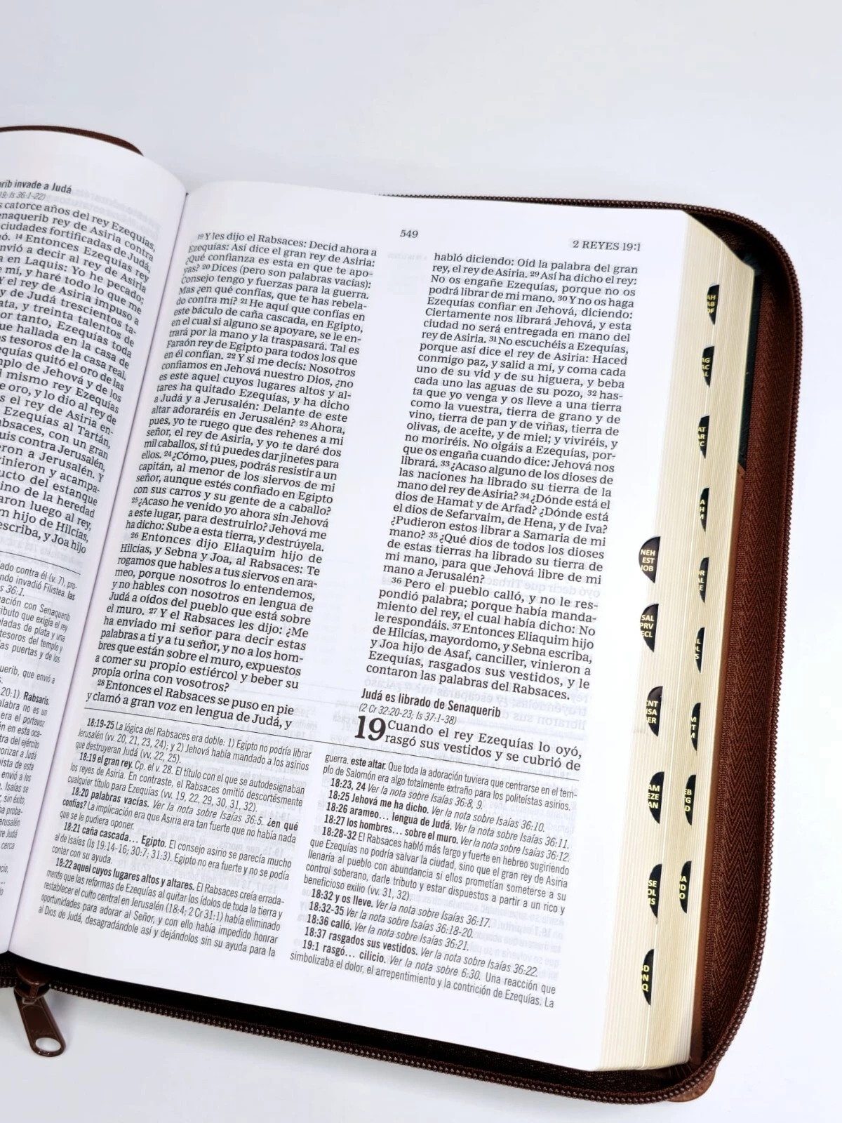 RVR60, Biblia De Estudio MacArthur, Letra Grande, Imitación Piel Café, Con Índice Y Cierre - Imagen 4