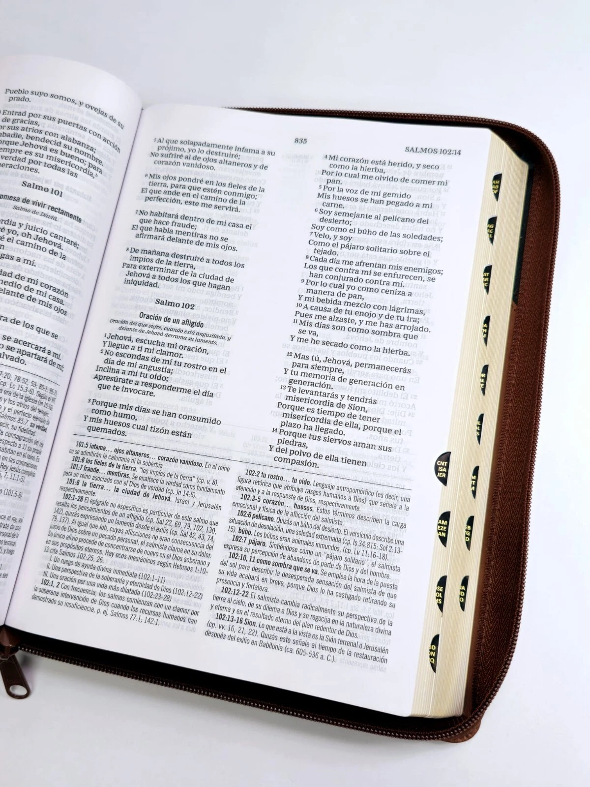 RVR60, Biblia De Estudio MacArthur, Letra Grande, Imitación Piel Café, Con Índice Y Cierre - Imagen 5