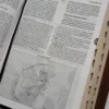 RVR60, Biblia De Estudio MacArthur, Letra Grande, Imitación Piel Café, Con Índice Y Cierre - Imagen 6