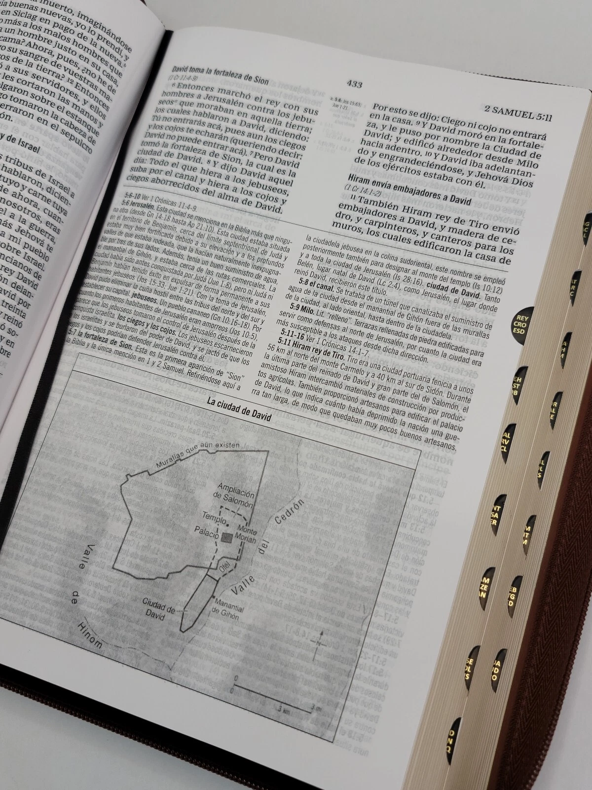 RVR60, Biblia De Estudio MacArthur, Letra Grande, Imitación Piel Café, Con Índice Y Cierre - Imagen 6