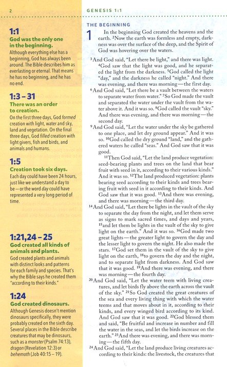 NIV, Kids' Visual Study Bible, Leathersoft, Bronze, Full Color Interior, Peel/Stick Bible Tabs : Explore the Story of the Bible---People, Places, and History - Imagen 4