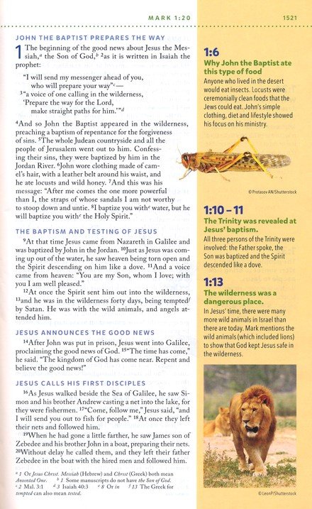 NIV, Kids' Visual Study Bible, Leathersoft, Bronze, Full Color Interior, Peel/Stick Bible Tabs : Explore the Story of the Bible---People, Places, and History - Imagen 7