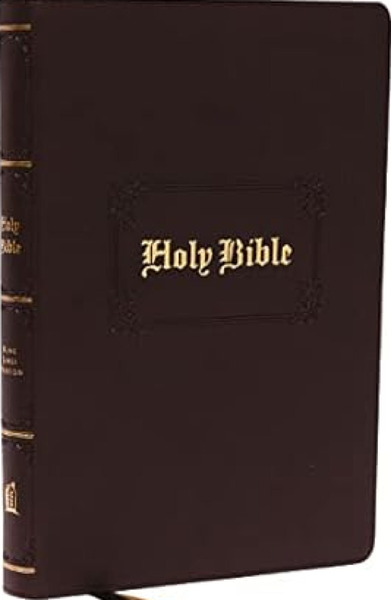 NVI Holy Bible - Economy Large Print Edition (Case of 16)