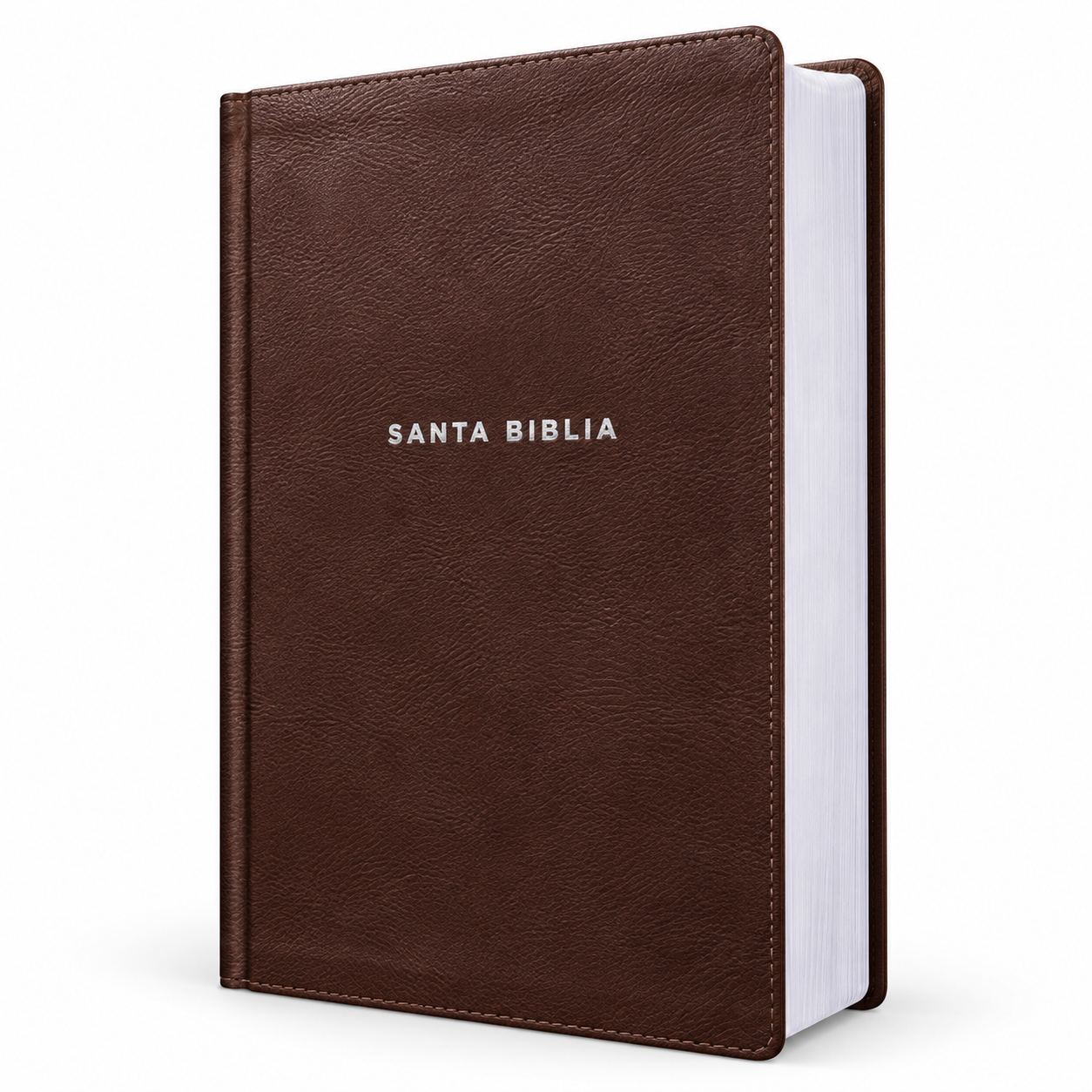 Biblia De Estudio Actualizada NVI, Revisión 2022, Imitación Piel, Café, Letra Grande, Interior A Color, Palabras De Jesús En Rojo, Comfort Print