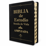 Biblia de Estudio Letra Grande, Senda de Vida Ampliada RV1960, imit. piel, negro con índice