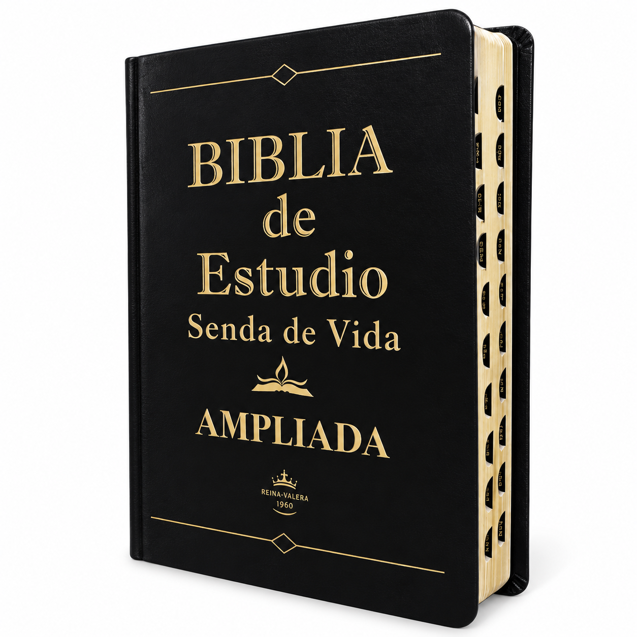Biblia de Estudio Letra Grande, Senda de Vida Ampliada RV1960, imit. piel, negro con índice