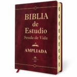 Biblia de Estudio Letra Grande, Senda de Vida Ampliada RV1960, imit. piel, marrón con índice