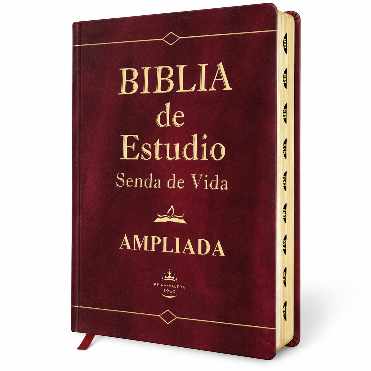 Biblia de Estudio Letra Grande, Senda de Vida Ampliada RV1960, imit. piel, marrón con índice