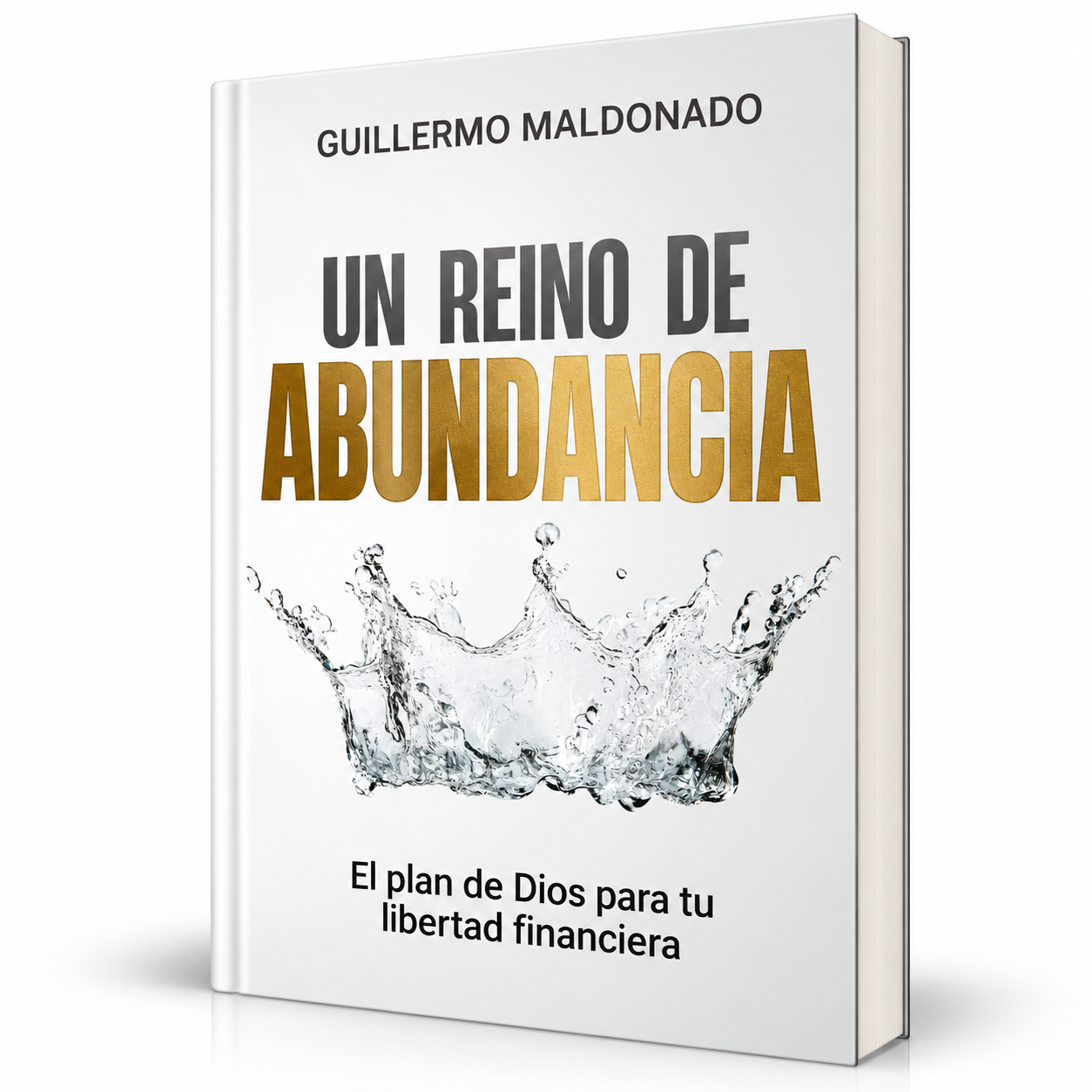 Un Reino de Abundancia - Guillermo Maldonado