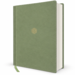 Biblia de Estudio para la Mujer RV1960, imit piel verde , Verdad, esperanza y transformación para el corazón