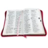Biblia con Cierre Letra Grande RV1960, imit piel fucsia - Imagen 2
