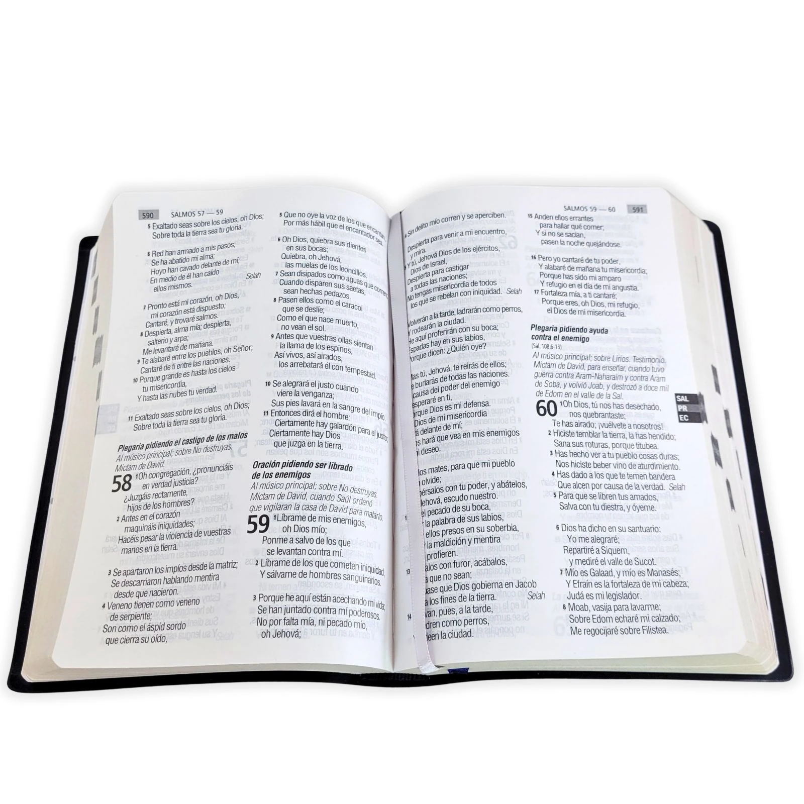 Biblia con Letra Grande 12 puntos RV1960, tapa vinilo azul con índice impreso - Imagen 2
