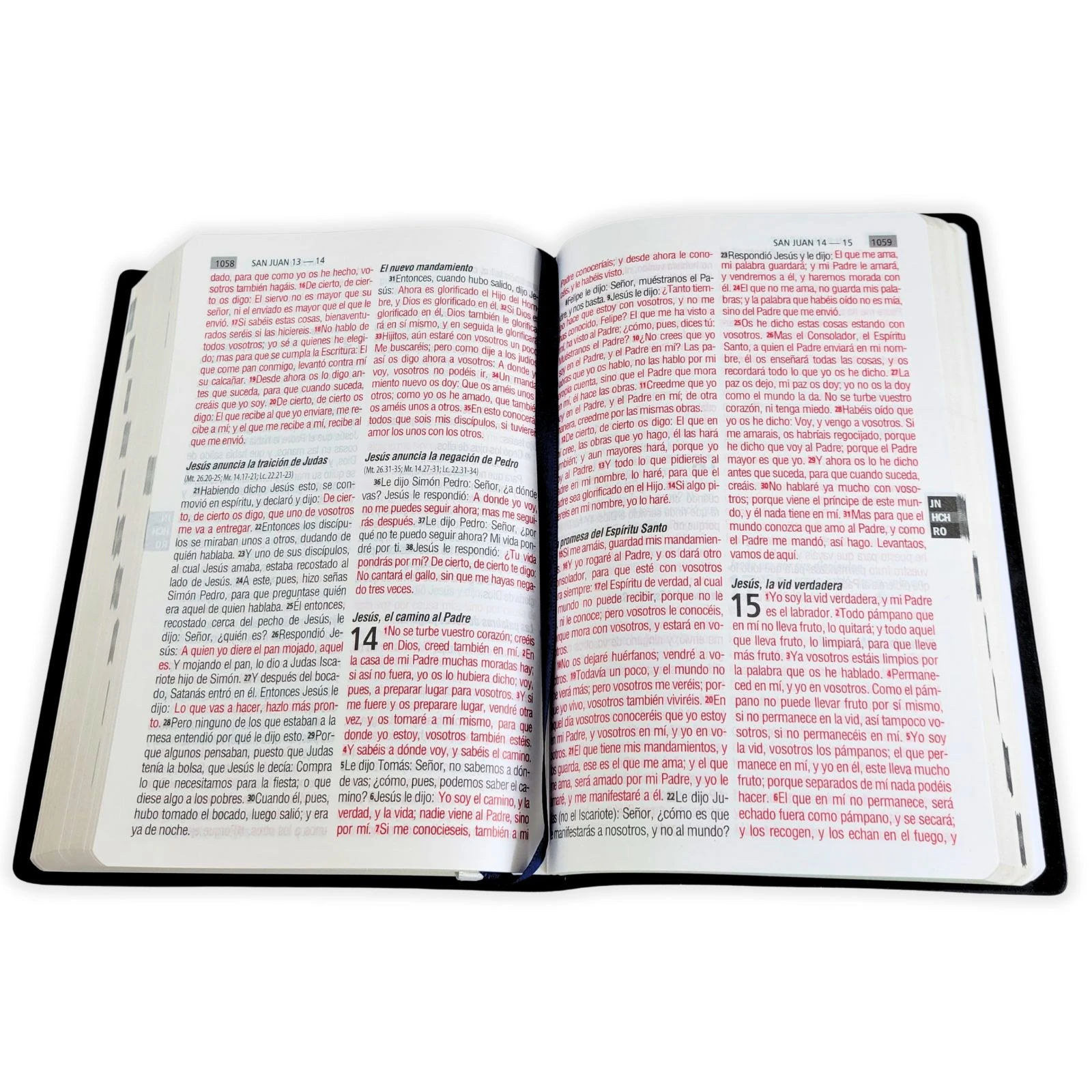 Biblia con Letra Grande 12 puntos RV1960, tapa vinilo azul con índice impreso - Imagen 3