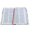 Biblia Letra Grande Mayúscula RV1960, Tapa Dura Azul y Gris - Imagen 2