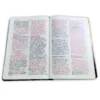Biblia Letra Grande Mayúscula RV1960, Tapa Dura Azul Cruz - Imagen 5