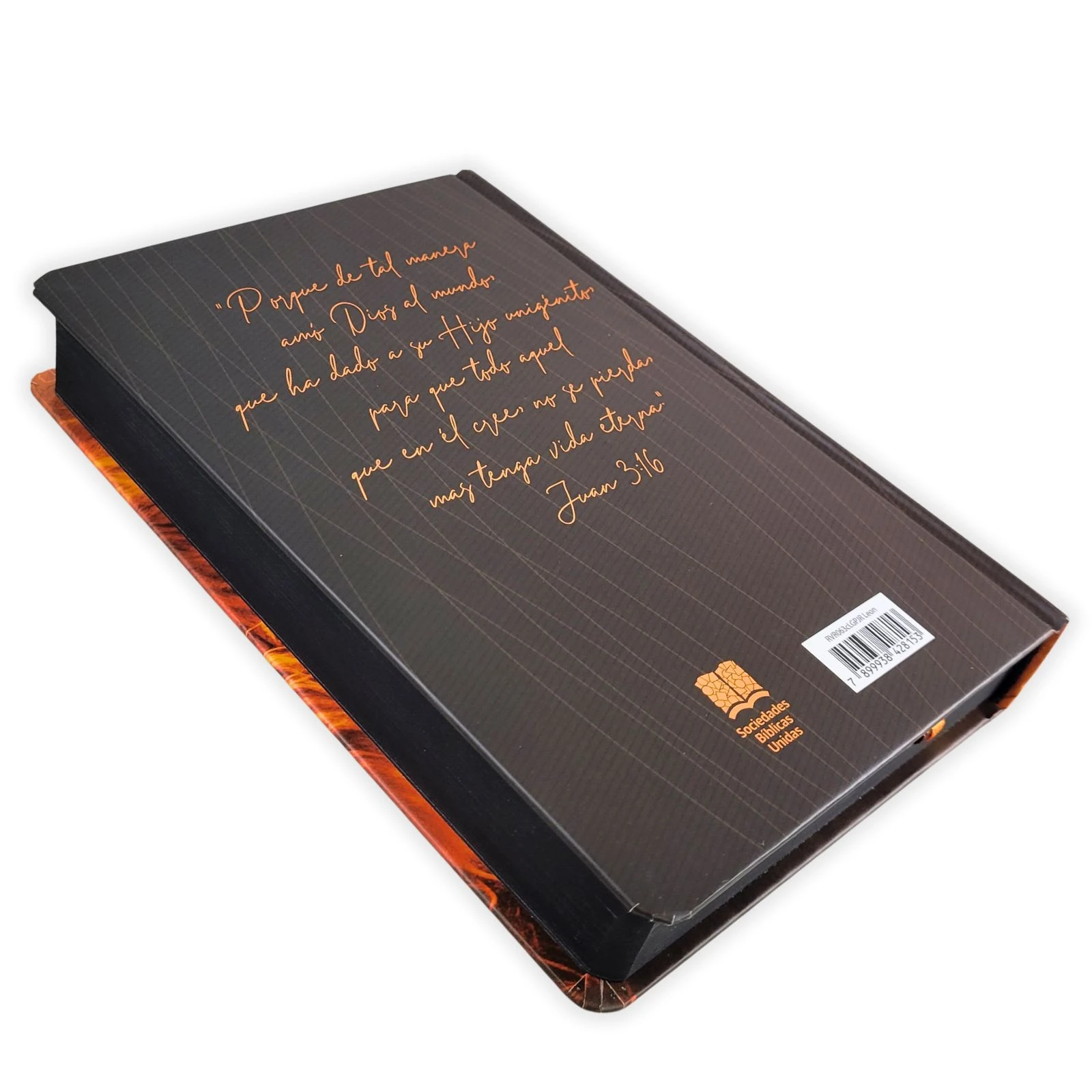 Biblia Letra Grande RV1960, Tapa Dura León de Judá, Naranja - Imagen 5