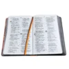 Biblia Letra Grande RV1960, Tapa Dura León de Judá, Naranja - Imagen 2