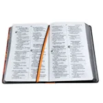Alternative view of Biblia Letra Grande RV1960, Tapa Dura León de Judá, Naranja