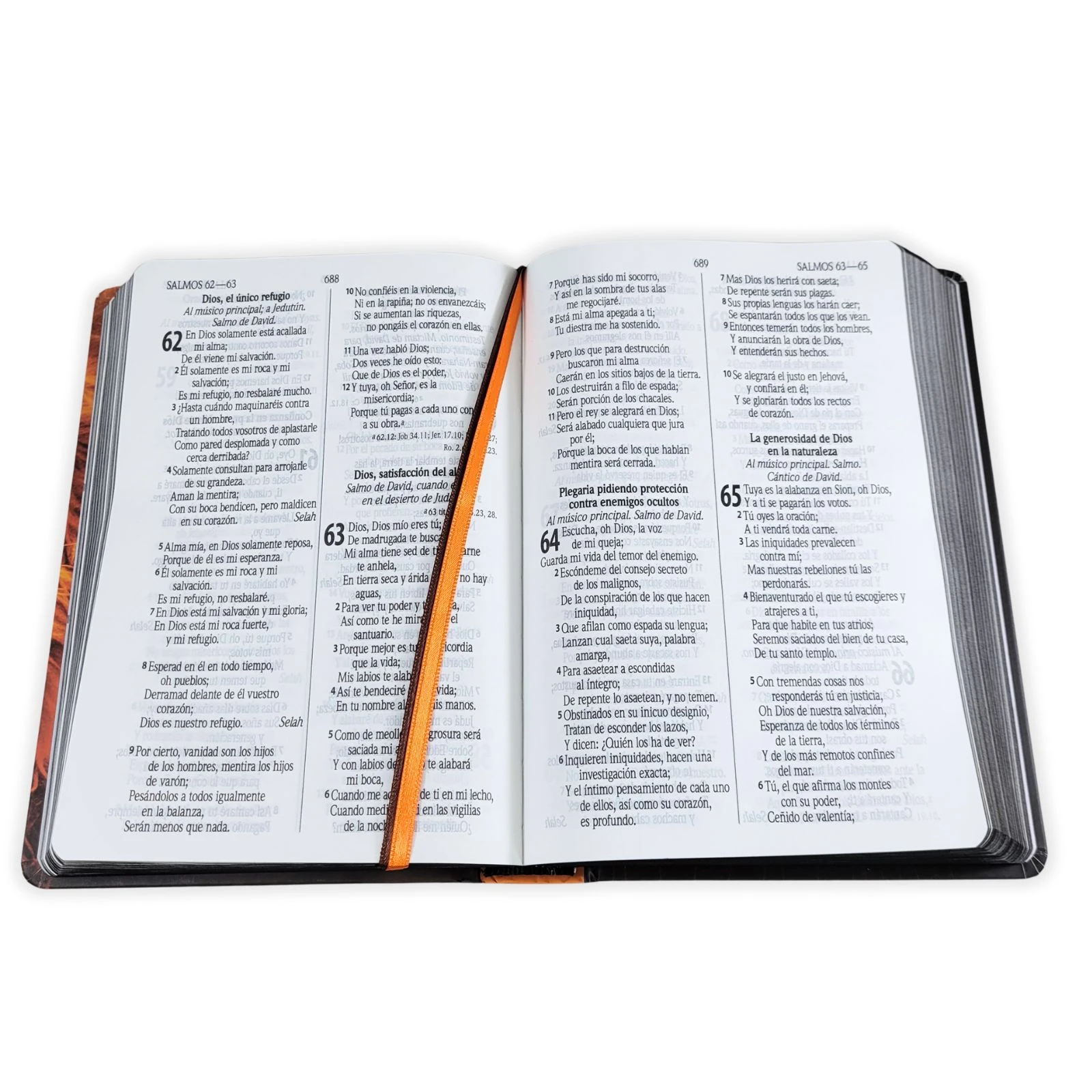 Biblia Letra Grande RV1960, Tapa Dura León de Judá, Naranja - Imagen 2
