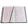 Biblia Letra Grande RV1960, Tapa Dura León de Judá, Naranja - Imagen 3