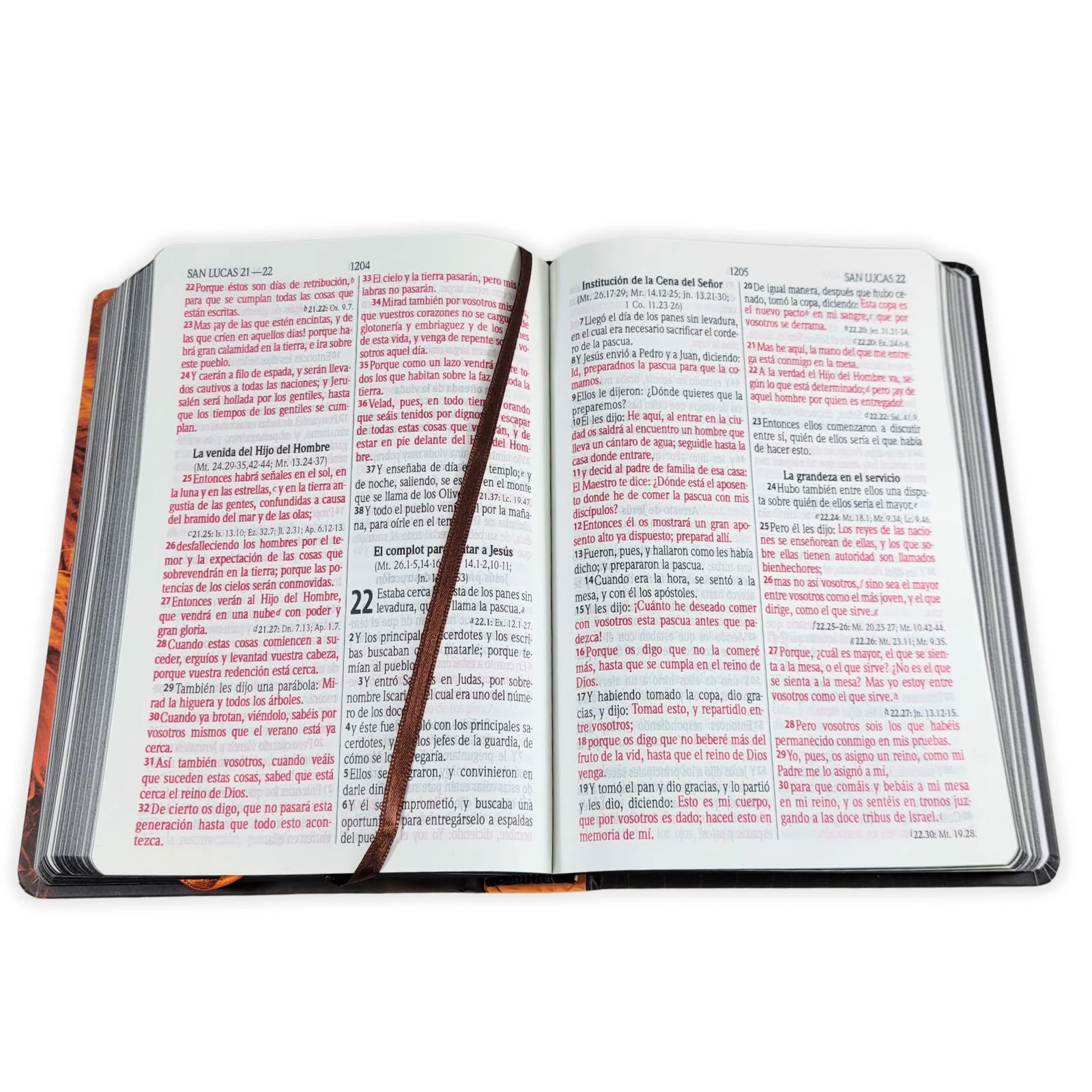 Biblia Letra Grande RV1960, Tapa Dura León de Judá, Naranja - Imagen 3