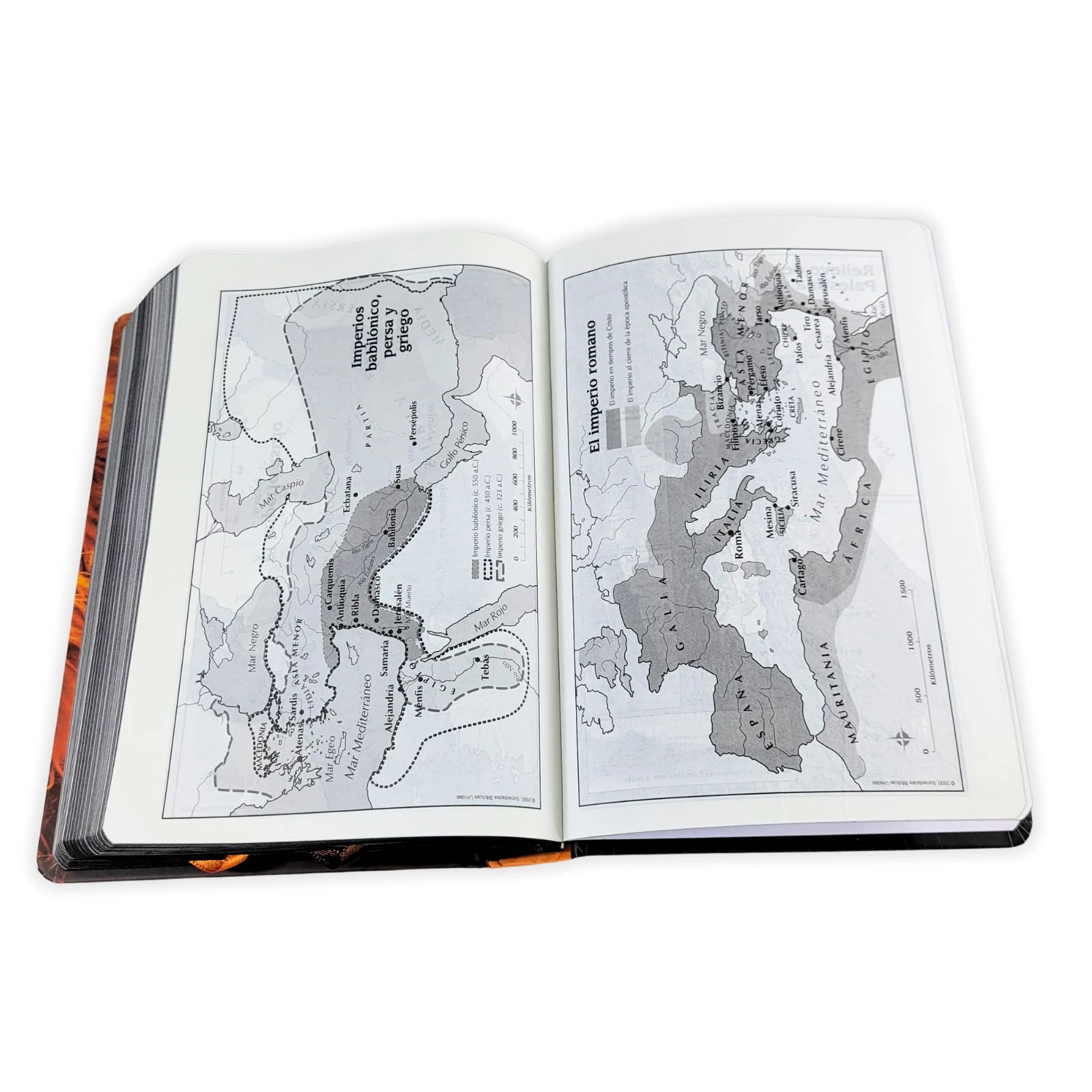 Biblia Letra Grande RV1960, Tapa Dura León de Judá, Naranja - Imagen 4