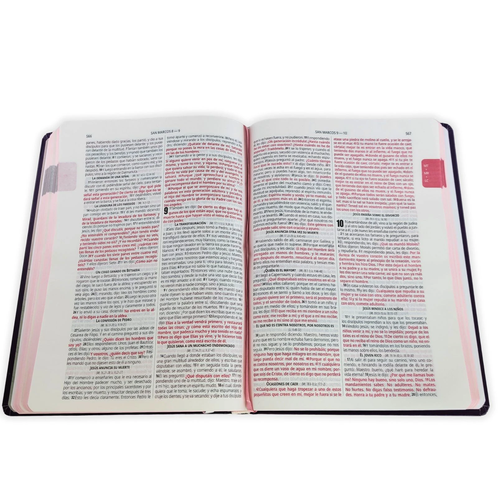 Biblia Fuente de Bendiciones RV1960, tapa dura morado floral - Imagen 3