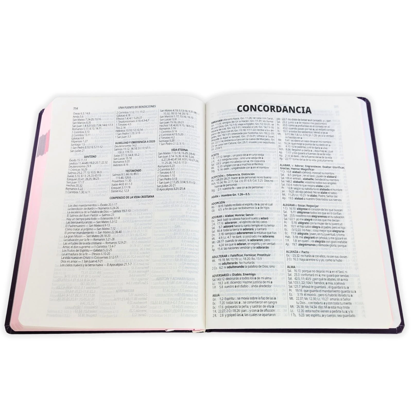 Biblia Fuente de Bendiciones RV1960, tapa dura morado floral - Imagen 4