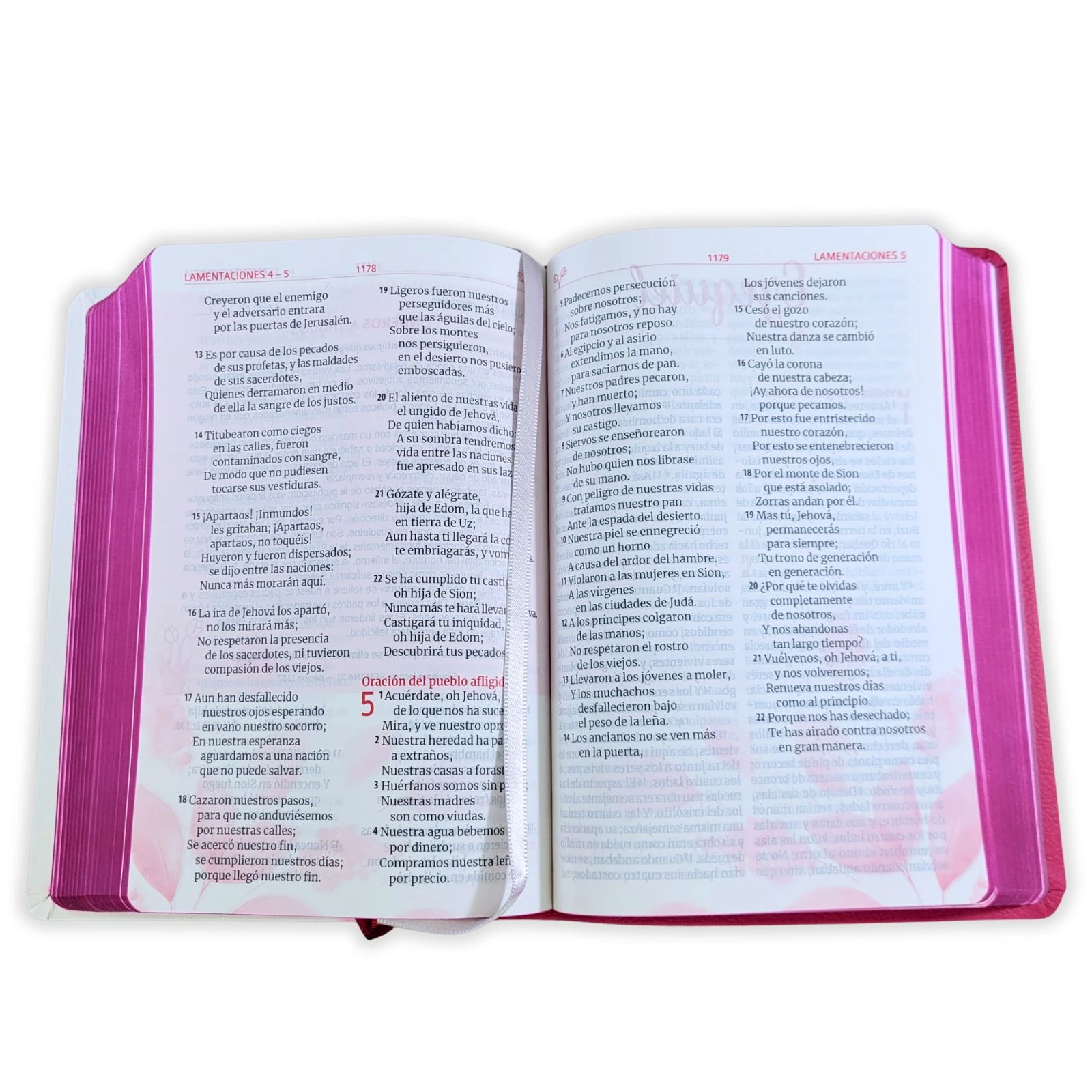 Biblia Letra Grande Manual 12 puntos RV1960, imit piel - Madres que interceden - Imagen 3