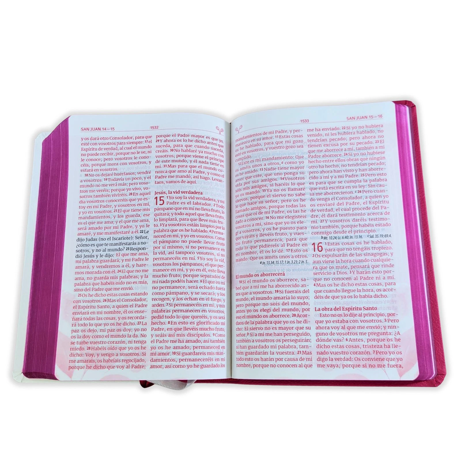 Biblia Letra Grande Manual 12 puntos RV1960, imit piel - Madres que interceden - Imagen 4