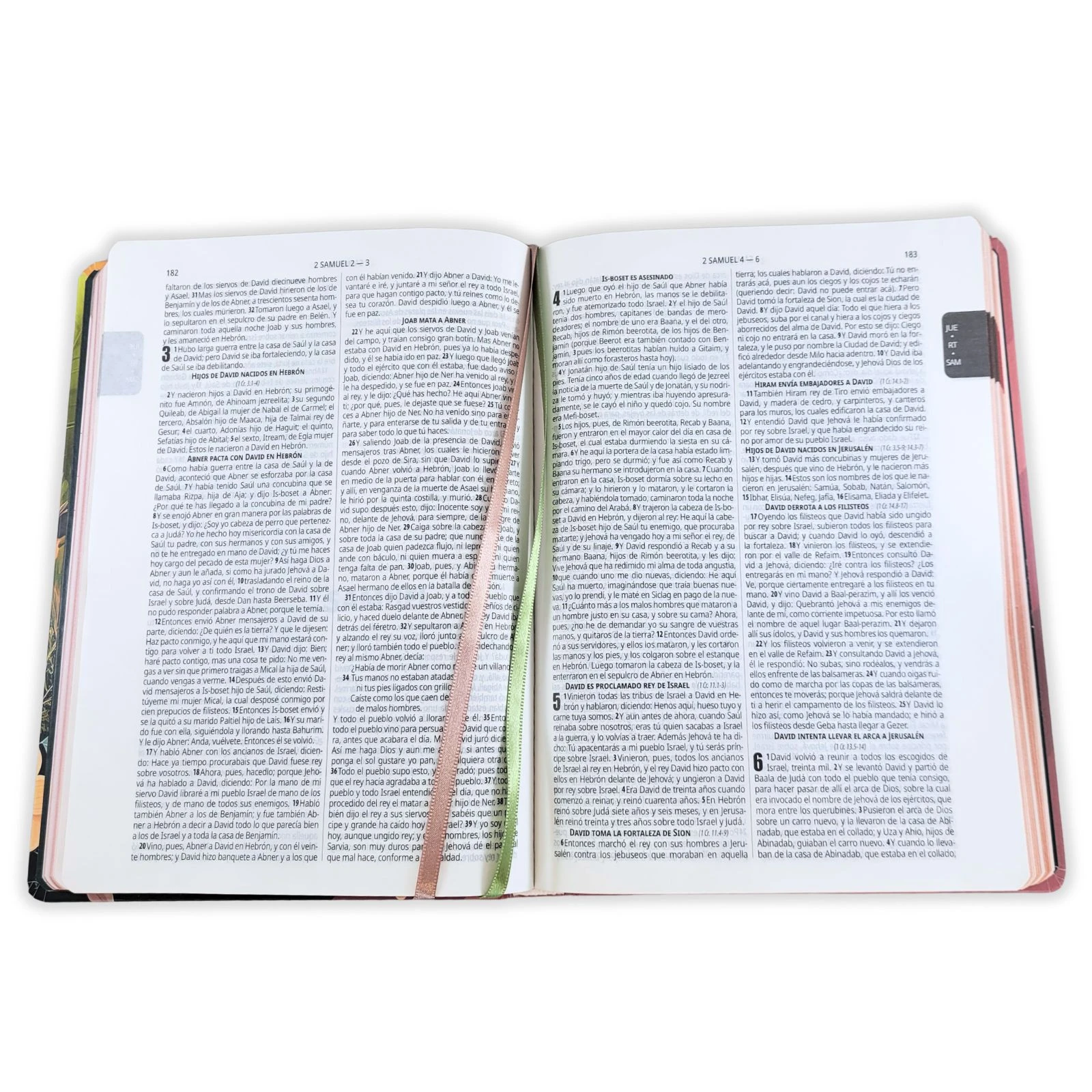 Biblia con Planificador Semanal RV1960, tapa dura otoño con índice impreso - Imagen 5