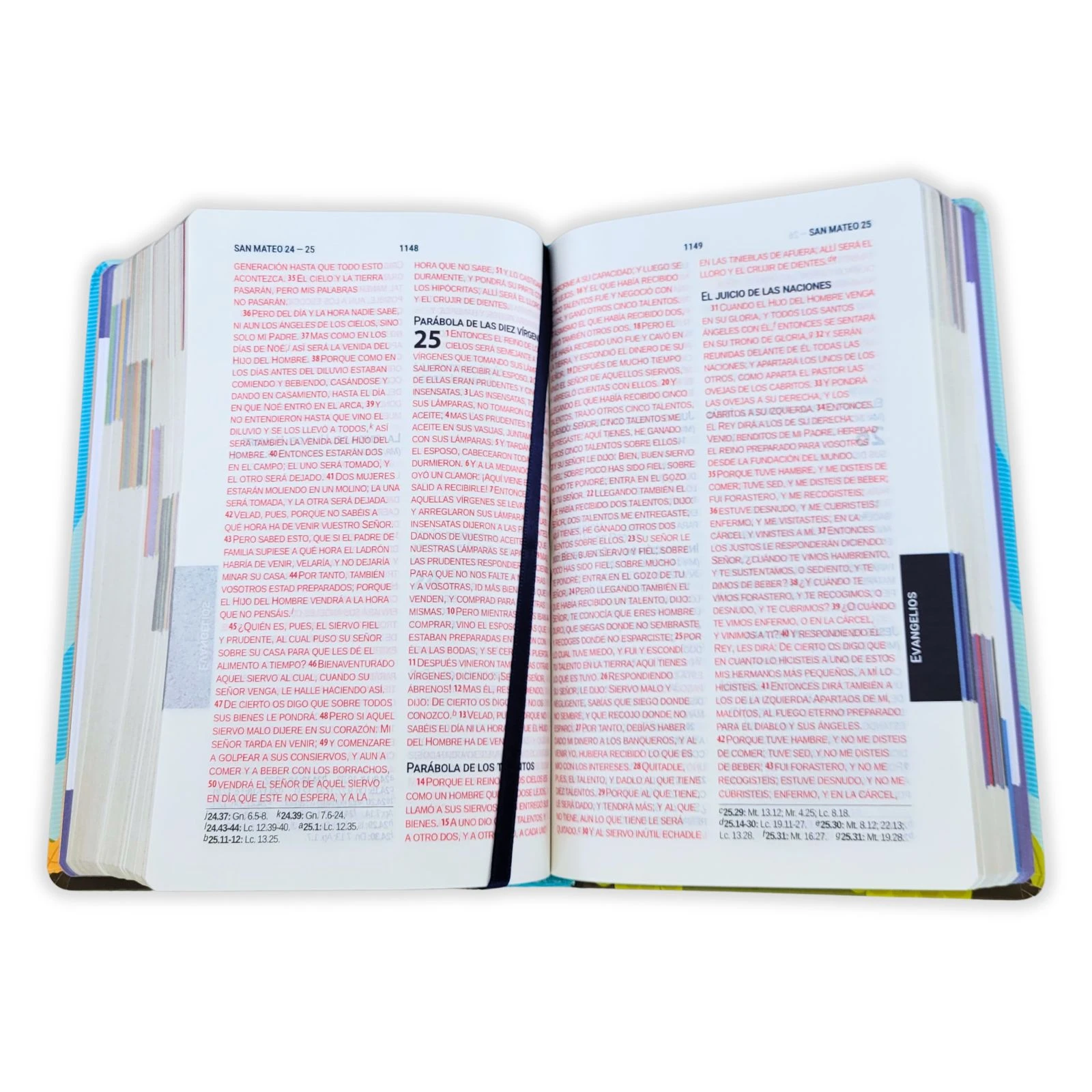 Biblia para Niños con Letra Grande Mayúscula RV1960: Amigos de la Biblia, tapa dura azul con índice impreso - Imagen 5