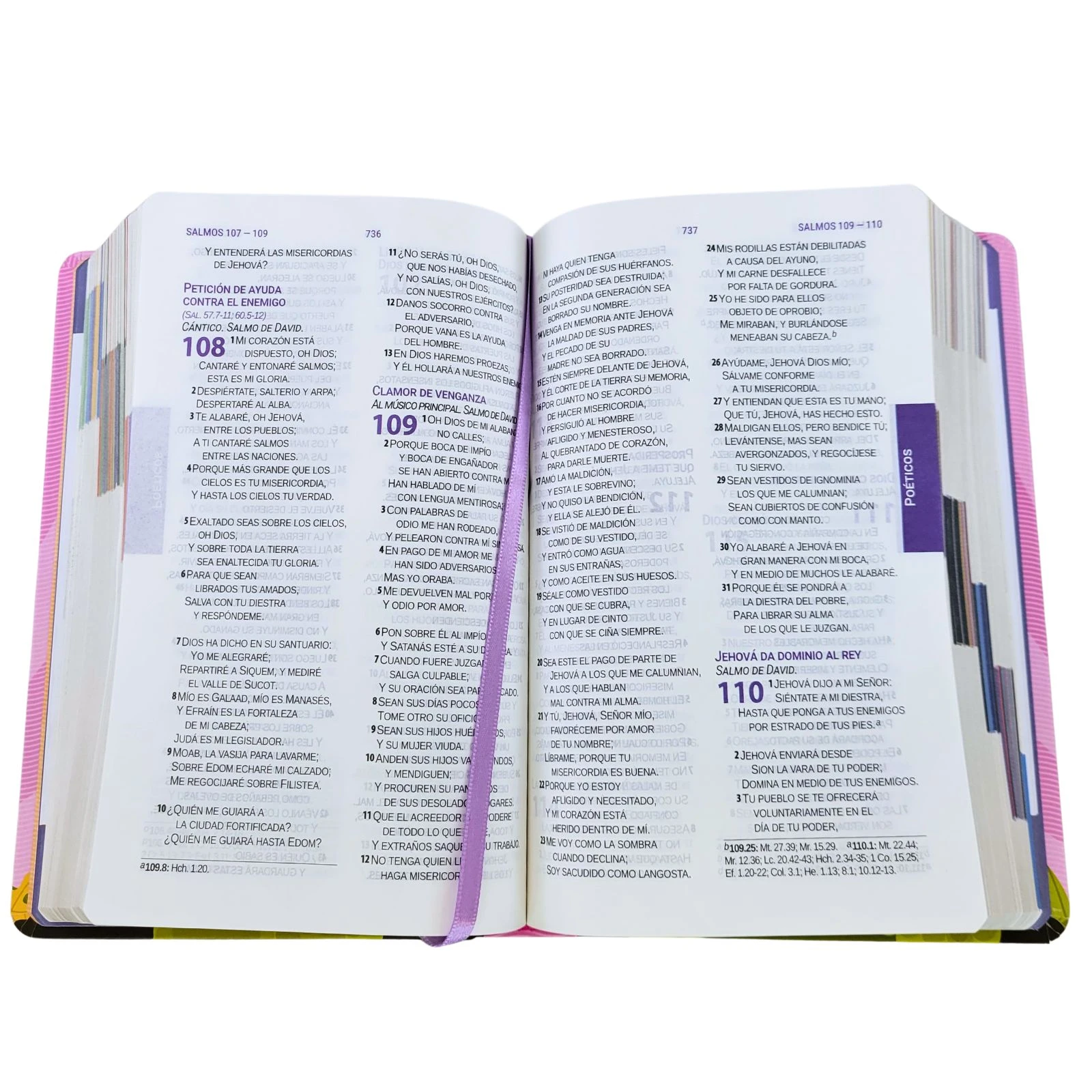 Biblia para Niños con Letra Grande Mayúscula RV1960: Amigos de la Biblia, tapa dura rosado con índice impreso - Imagen 5